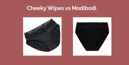 Modibodi Review: How Long Do They ACTUALLY Last? (New v Old Pics!)