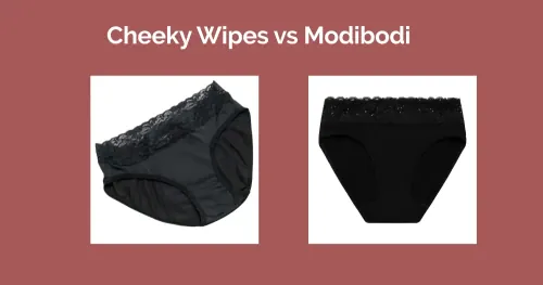 Cheeky wipes vs modibodi? What is better?